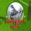 World Cup Football