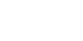 Stake Casino IT Logo