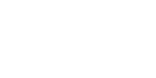 Stake Casino IT Logo