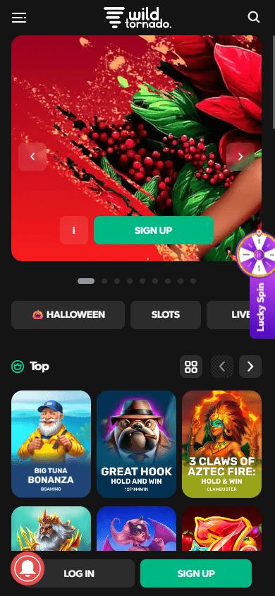 WildTornado_Casino_homepage_mobile