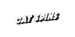 Cat Spins Casino