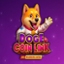 Doge Coin Link