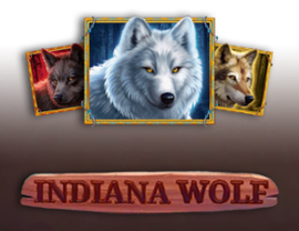 Indiana Wolf