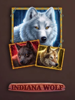 Indiana Wolf
