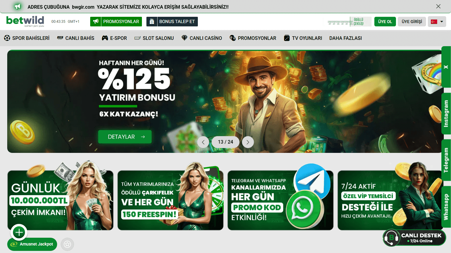 betwild365_casino_homepage_desktop