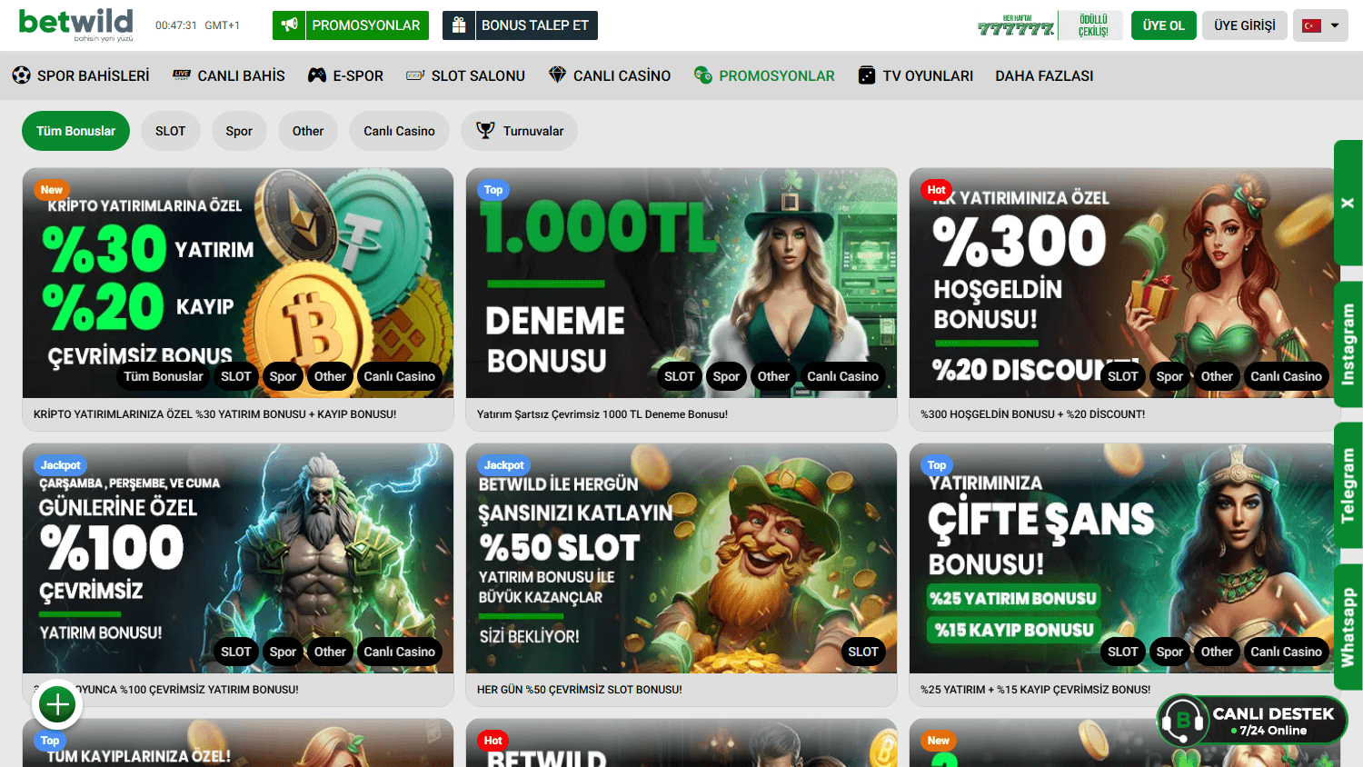 betwild365_casino_promotions_desktop