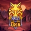 Halls of Odin