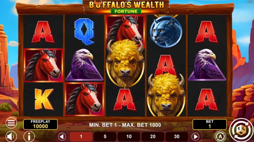 Buffalo’s Wealth Fortune.jpg