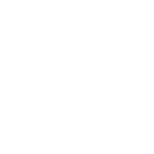 Bobawin Casino Logo