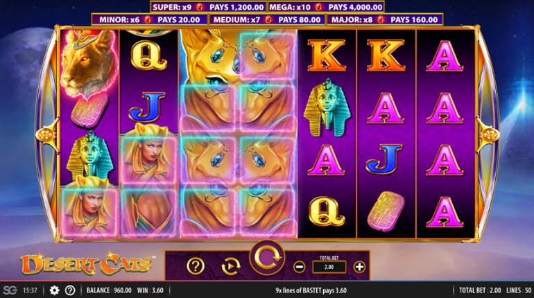 Desert Cats slot high symbol win