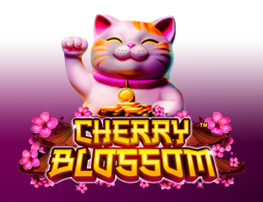 Cherry Blossom