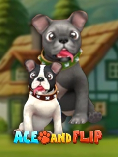Ace and Flip