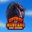 Spirit of Mustang West Express