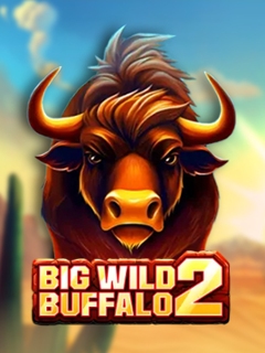 Big Wild Buffalo 2