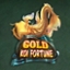 Gold Koi Fortune