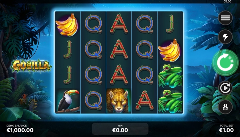 Gorilla.jpg