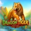 Dragon Tiger Fortunes