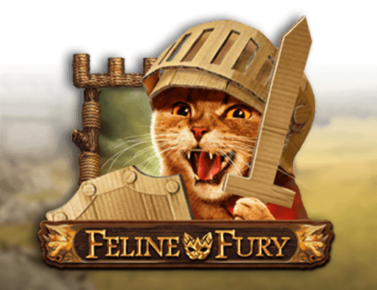 Feline Fury