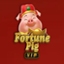 Fortune Pig VIP