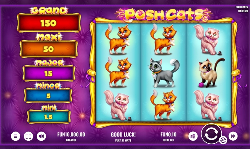 Posh Cats.jpg