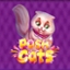 Posh Cats
