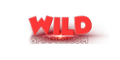 WildSpinner Casino