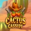 Cactus Cassidy