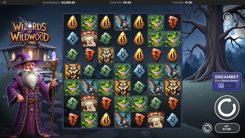 Wizards of Wild Wood.jpg