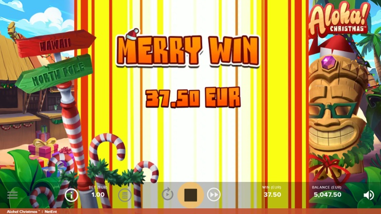 Aloha! Christmas big win