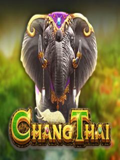 Chang Thai
