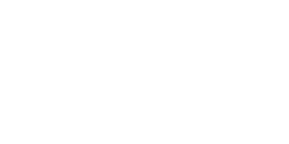 The Normal Casino Logo