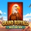 Grand Buffalo Hold & Win