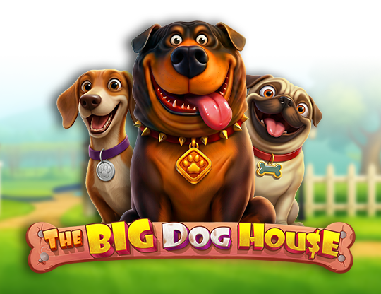 The Big Dog House