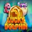 Lucky Dolphin