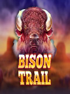 Bison Trail