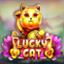 Lucky Cat