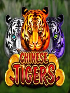 Chinese Tigers