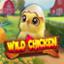 Wild Chicken