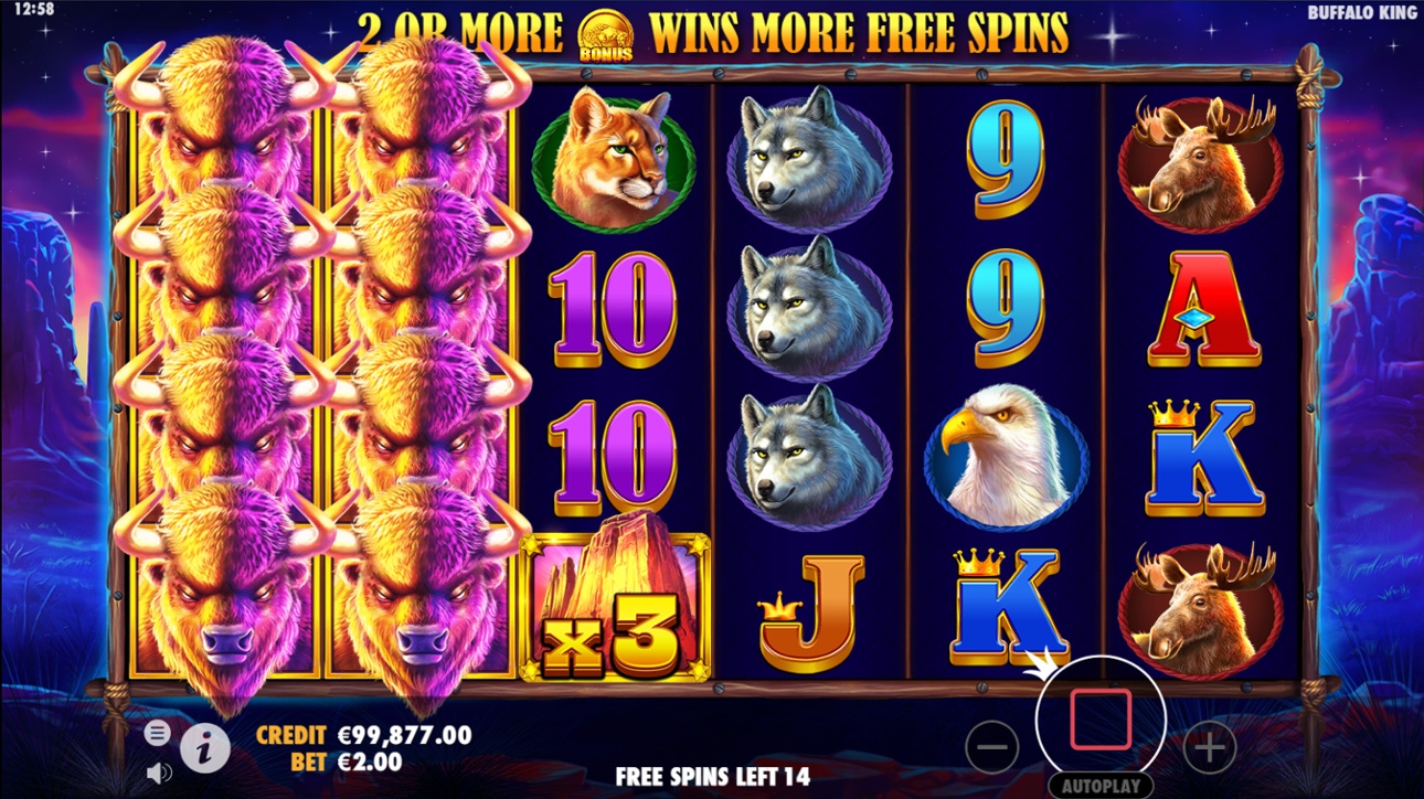 Buffalo King free spins big win