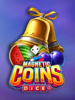 Magnetic Coins Dice