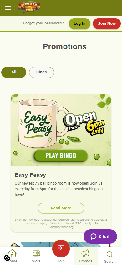Jungle_Reels_Casino_promotions_mobile