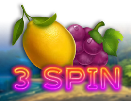 3 Spin