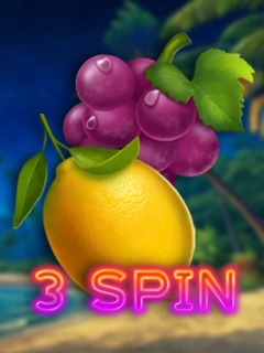 3 Spin