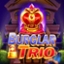 Burglar Trio