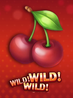 Wild! Wild! Wild!
