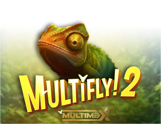MultiFly 2