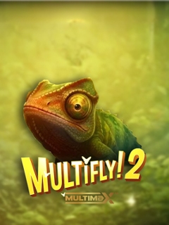MultiFly 2