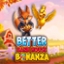 Better Barn House Bonanza