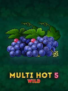 Multi Hot 5 Burn Wilds