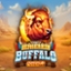 Beserkin' Buffalo